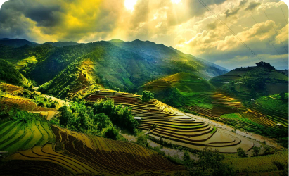 Việt Nam